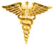  Medical Services/Directory