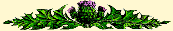 thistle.gif (7225 bytes)