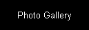 Photo Gallery