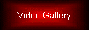Video Gallery