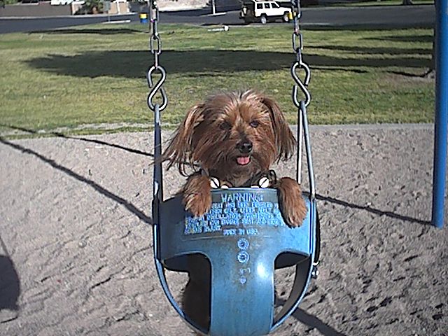 weeee!!