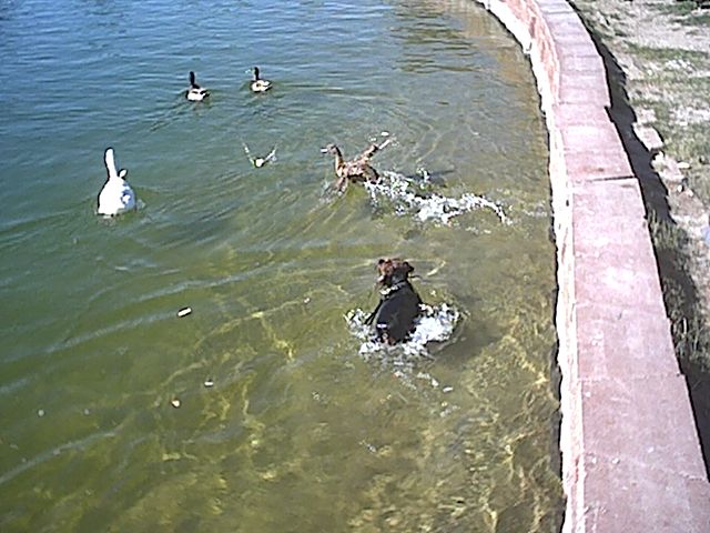 Lookee! birds! mmmmmm!