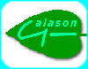 gaiason