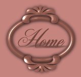 Home Button