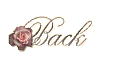 back.gif (2748 bytes)