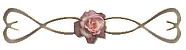 bar.gif (4092 bytes)