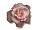 bullet.gif (1438 bytes)