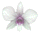 button.gif (1490 bytes)