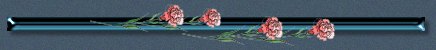 carnation7.jpg (6045 bytes)