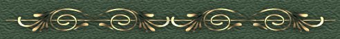 Divider Bar