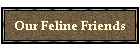Our Feline Friends