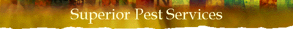 Superior Pest Services