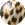CLICK HERE FOR MIDI FILES
