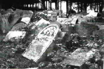 Zentralfriedhof