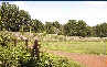  Stadion '' Piast ''