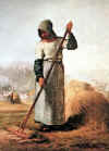 Millet_In_the_Field.jpg (54859 bytes)