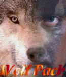 Made in honor of Wolf Pack.