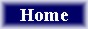 Hotel Galaxa Homepage
