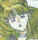 Setsuna.jpg (122645 bytes)