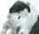 usagi+mamoru.jpg (48966 bytes)