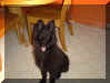 bosco_3.JPG (25133 bytes)