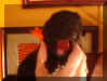 orange_4.JPG (22252 bytes)