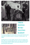 TreeinRukufacingKaba.gif (122236 bytes)