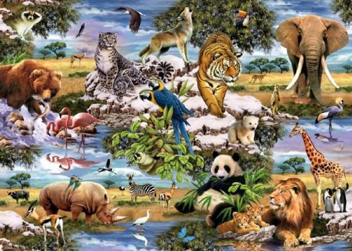 ANIMALES