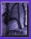 ../graficos/BOTON1.jpg - 7245 Bytes