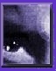 ../graficos/BOTON4.jpg - 6423 Bytes