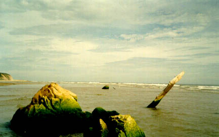 A Galer�a Playera