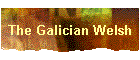 The Galician Welsh