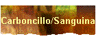 Carboncillo/Sanguina