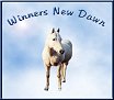 Winners New Dawn Memorial
