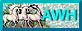 Free Horse Web Graphics and More!