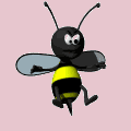 Fly Repellent Hints.