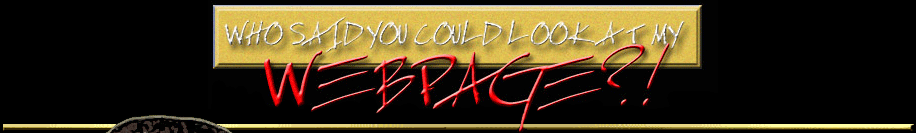 Who said you could look at my WEBPAGE!?