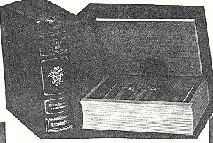 caja1.jpg (21462 bytes)