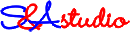 web-master