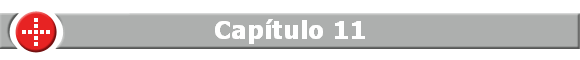 Cap�tulo 11