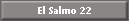 El Salmo 22