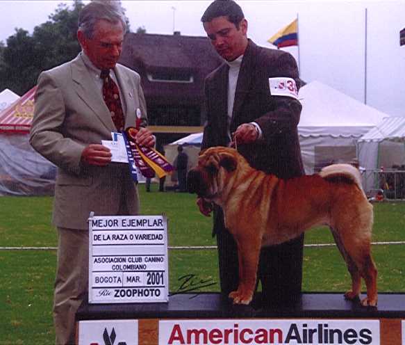 Glory en Colombia