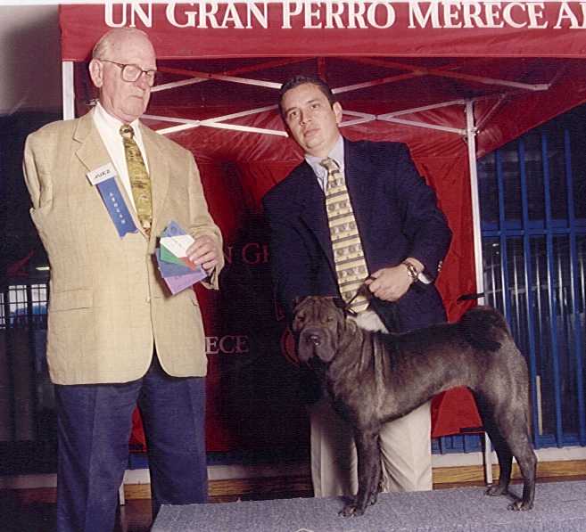 Foto "Mejor de la Raza"