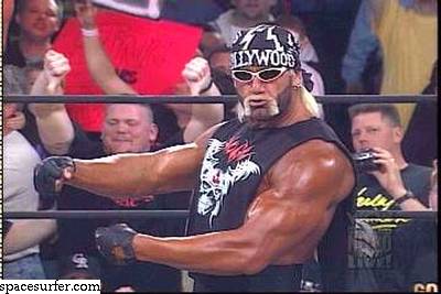 Picture of Hulk Hogan