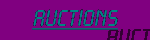 Auctions
