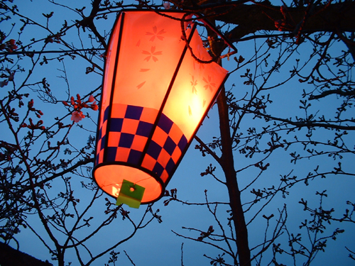 lantern, so asian