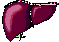 Liver!