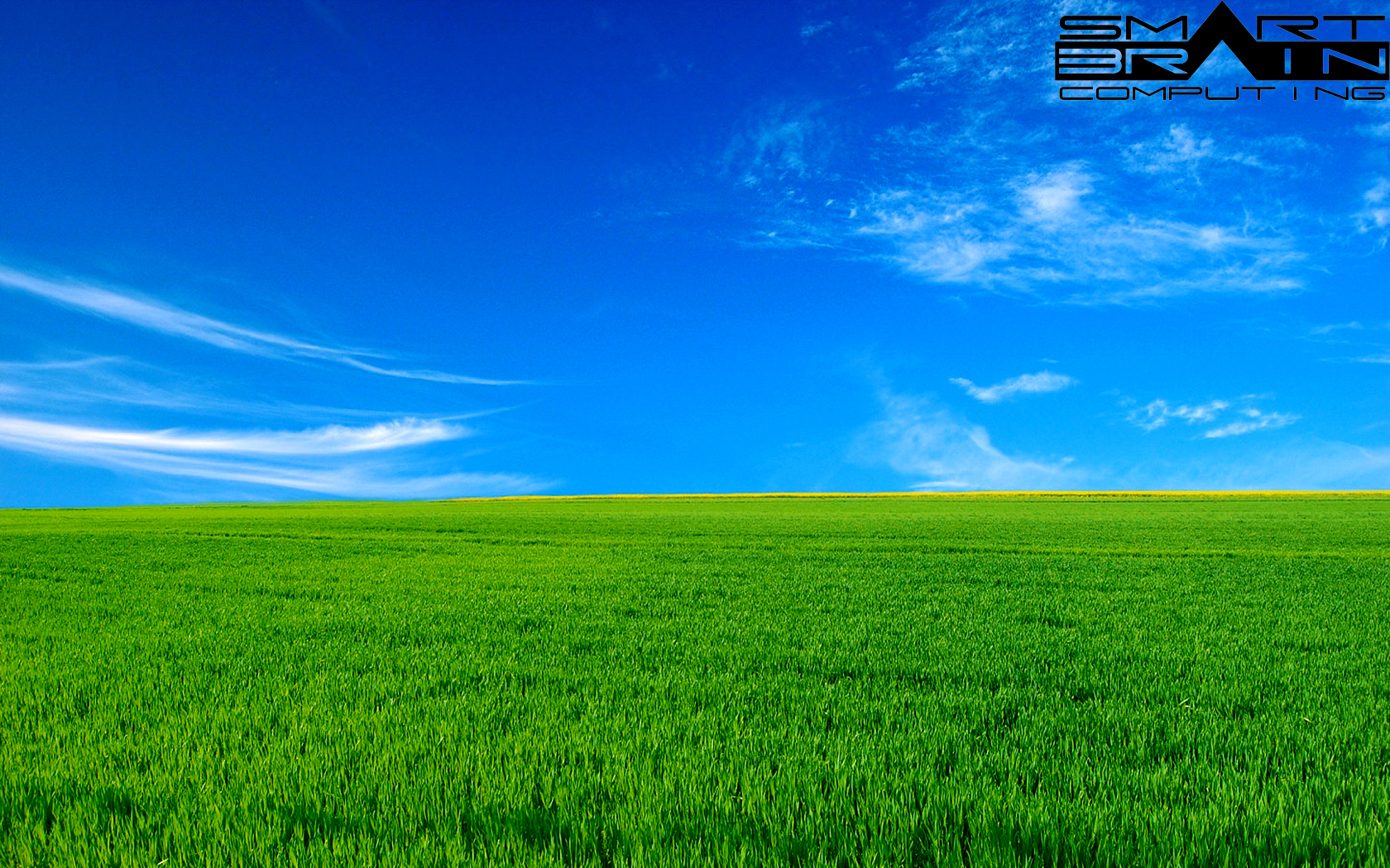 free wallpers to download