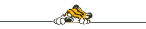 linehobhorz.gif (1062 bytes)