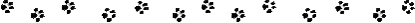 linepaw.gif (972 bytes)